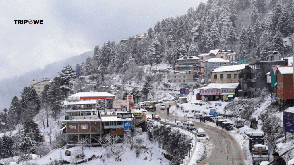 Best Places To Visit in Shimla-Tripowe.com