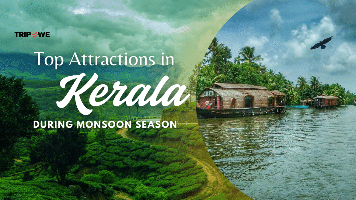 Top Attraction in kerala in monsoon season-Tripowe.com