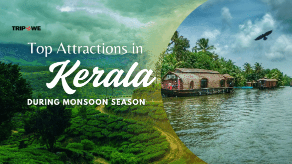 Top Attraction in kerala in monsoon season-Tripowe.com