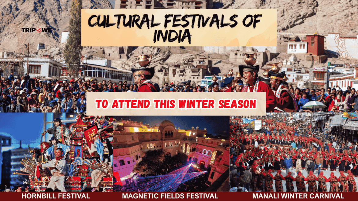 Cultural Festivals of India to Attend This Winter Season -Tripowe.com