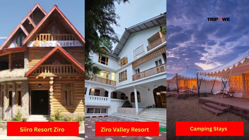 Ziro Festival of Music 2025 and Jodhpur RIFF 2025-Tripowe.com