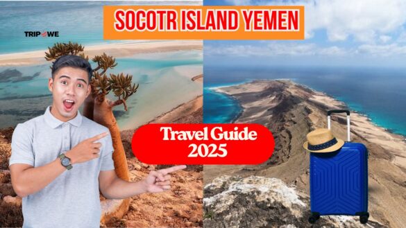 Socotra Island Yemen travel guide 2025-Tripowe.com