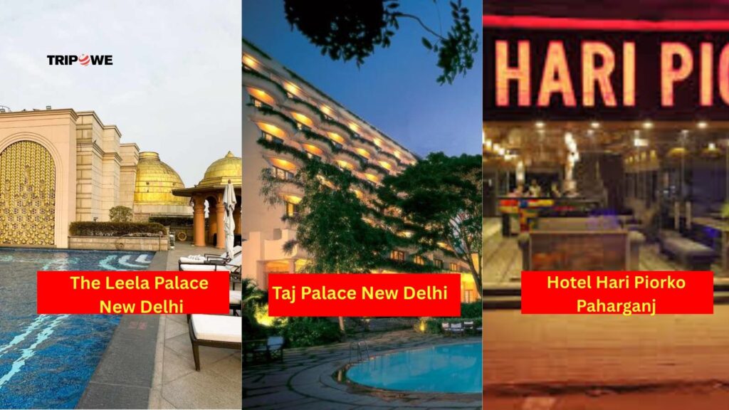 Acyuta Gopi Chal Man Vrindavan Tour 2025-Tripowe.com