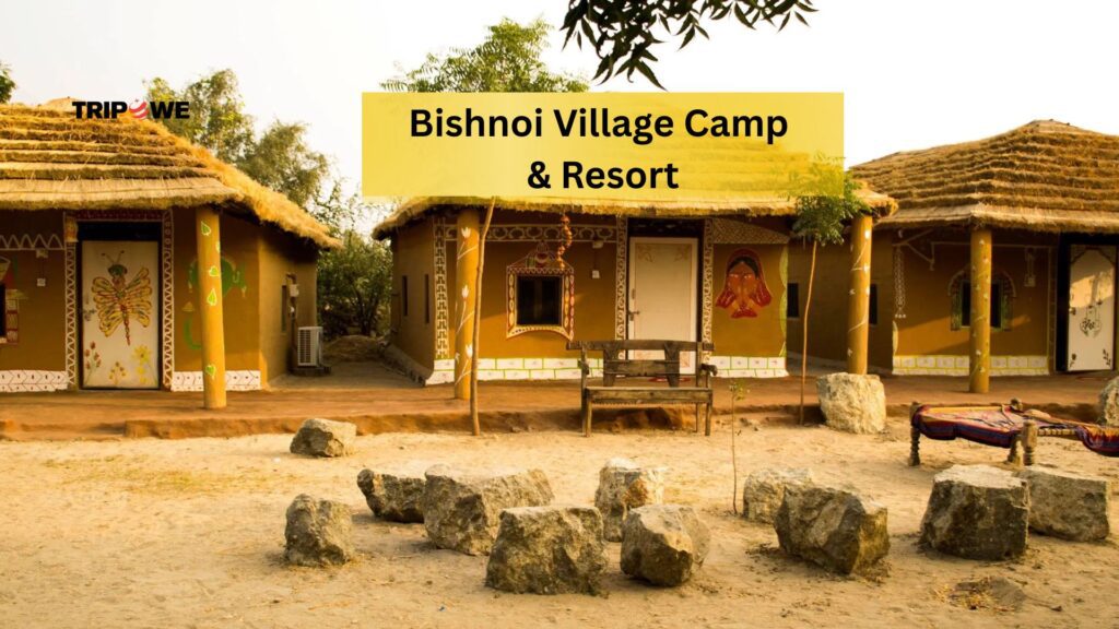 Rajasthan hidden villages travel guide-Tripowe.com