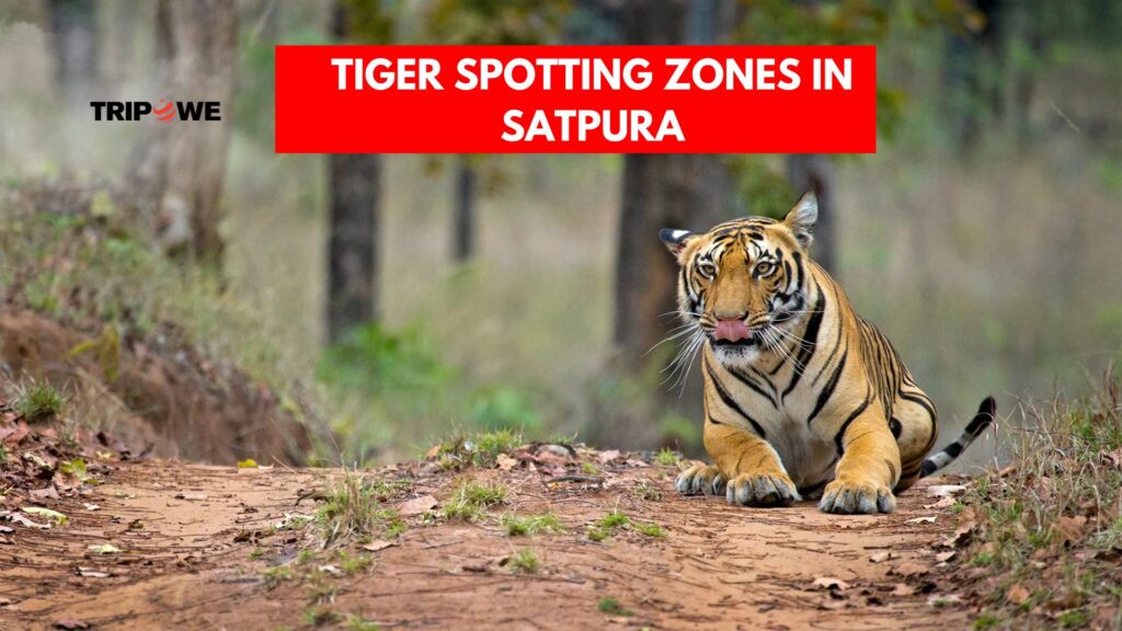 Satpura Tiger Reserve Madhya Pradesh-Tripowe.com