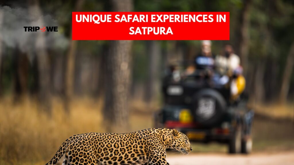Satpura Tiger Reserve Madhya Pradesh-Tripowe.com