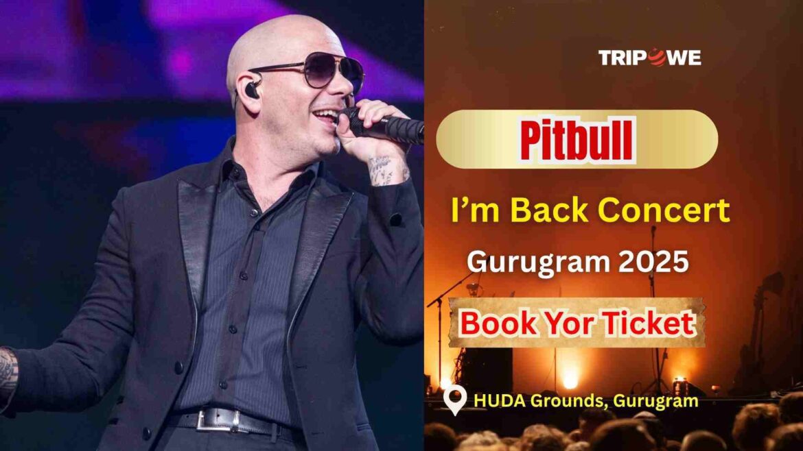 Pitbull concert Gurugram 2025-Tripowe.com