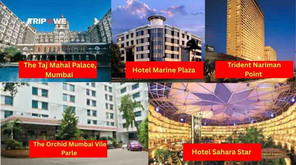 Sanam Live India Tour 2025-Tripowe.com