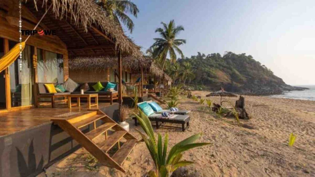 Places to visit in goa in december-Tripowe.com