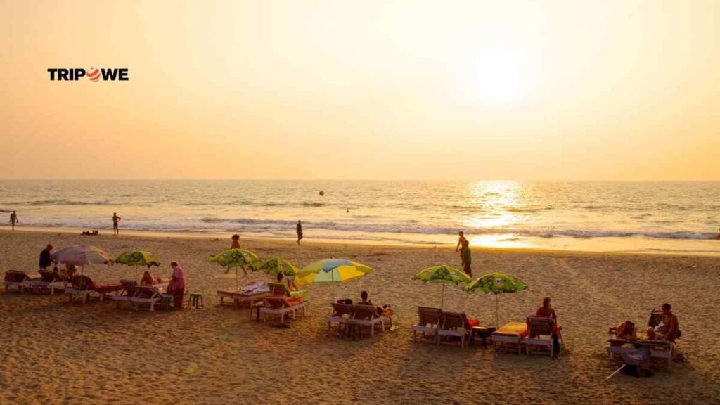 Places to visit in goa in december-Tripowe.com