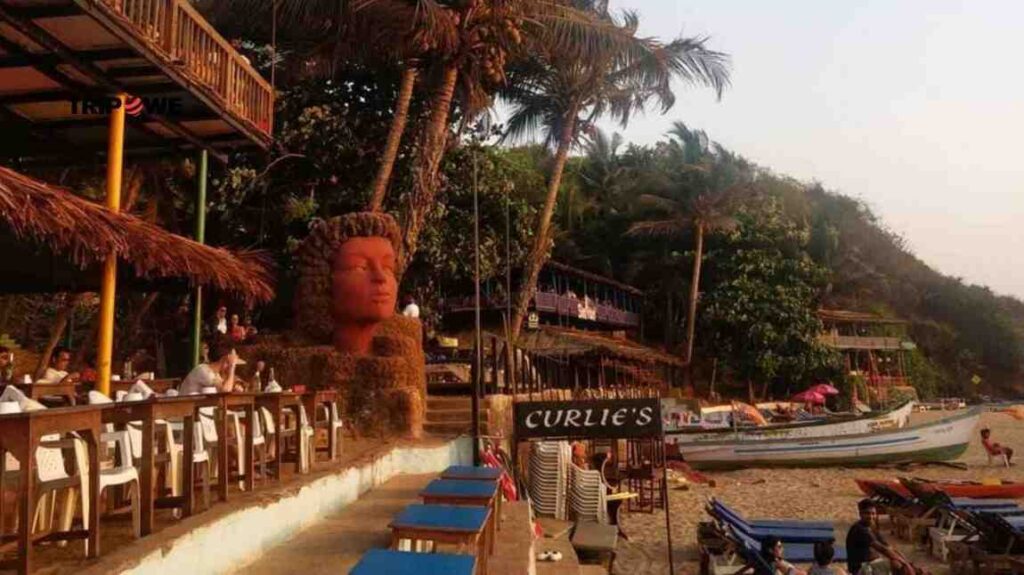 Places to visit in goa in december-Tripowe.com
