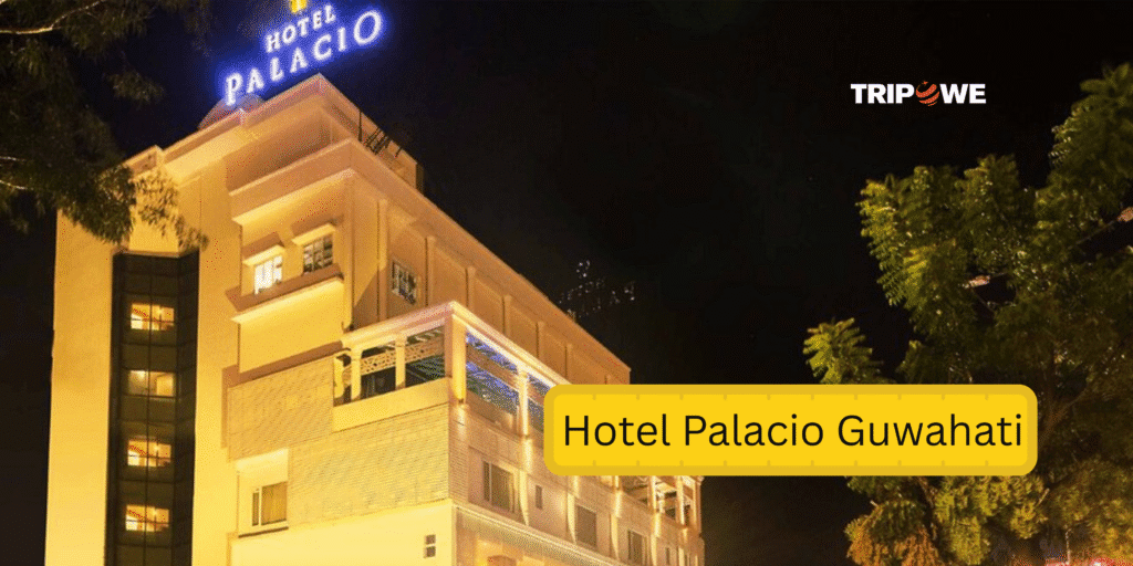 Post Malone Live in Guwahati 2025
Tripowe.com
