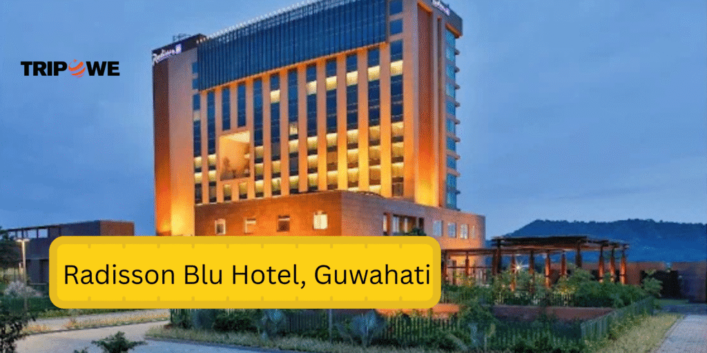 Post Malone Live in Guwahati 2025
Tripowe.com