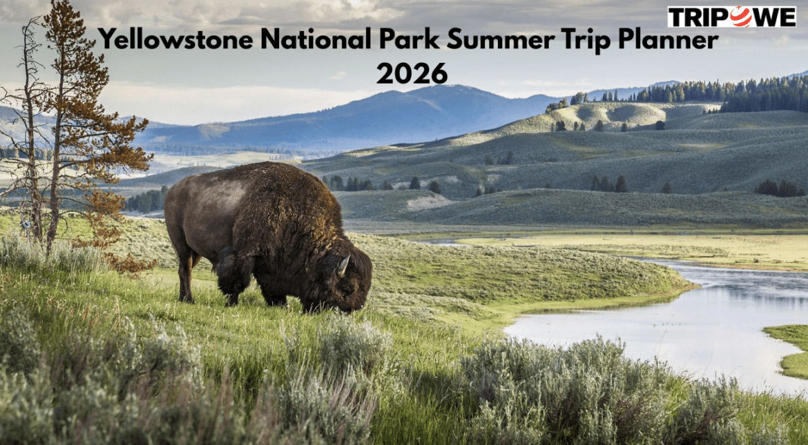 Yellowstone National Park Summer Trip Planner 2026