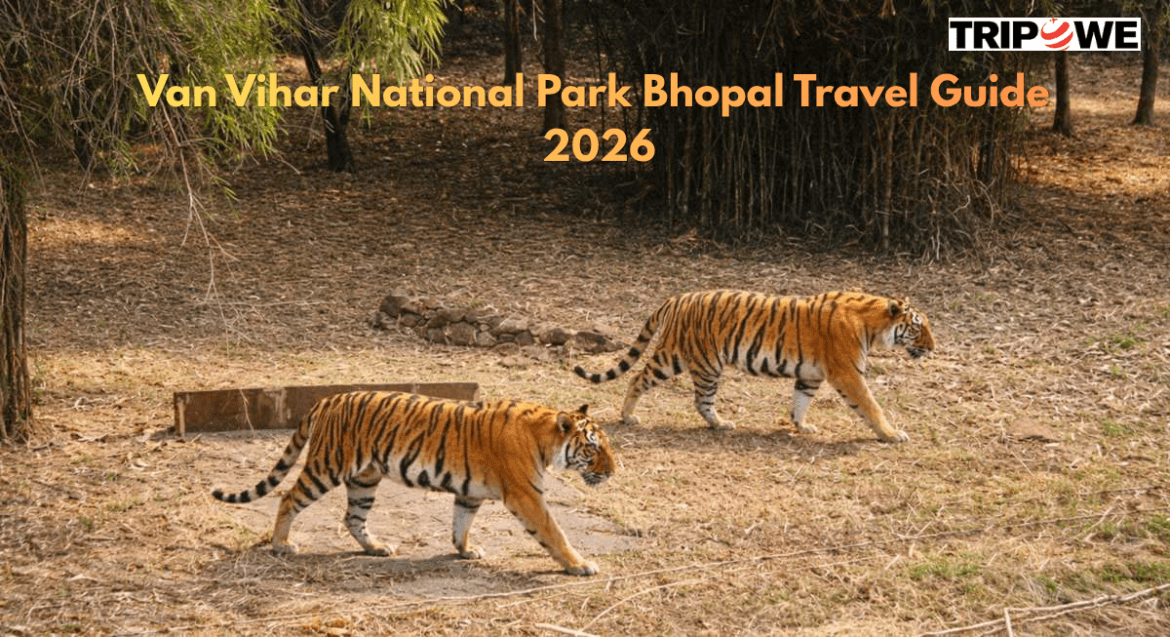 Van Vihar National Park Bhopal Travel Guide 2026
