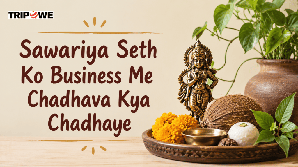 Sawariya Seth Ko Business Me Chadhava Kya Chadhaye